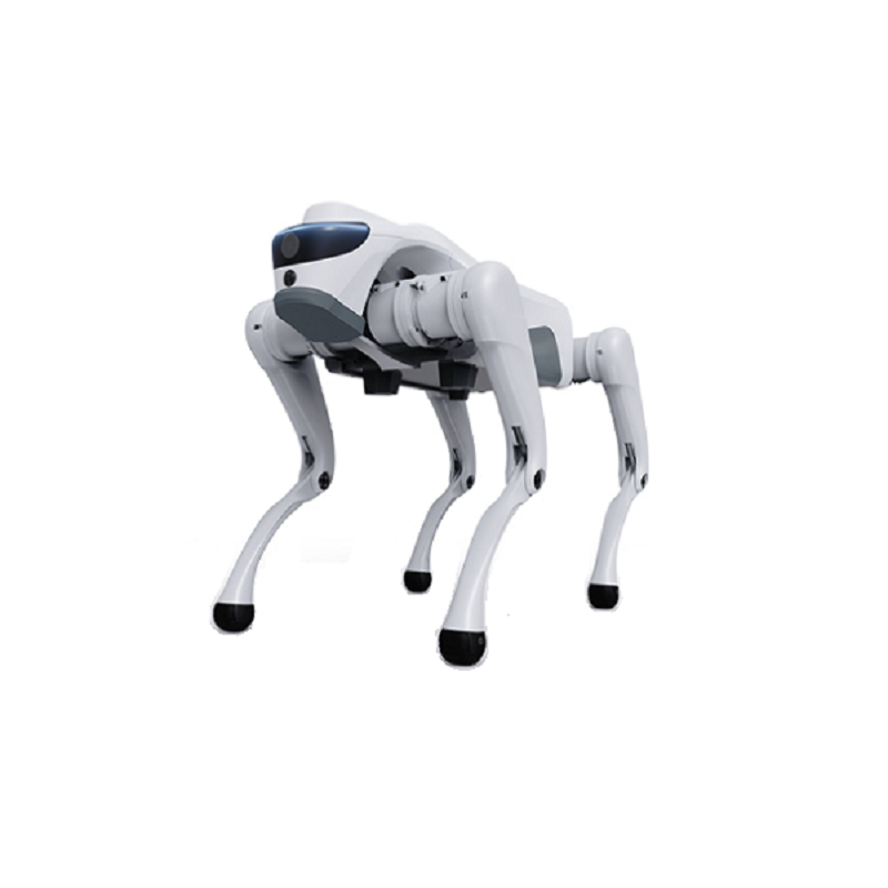 Hvordan kan en firdobbelt robot transformere moderne industrielle og intelligente applikationer?