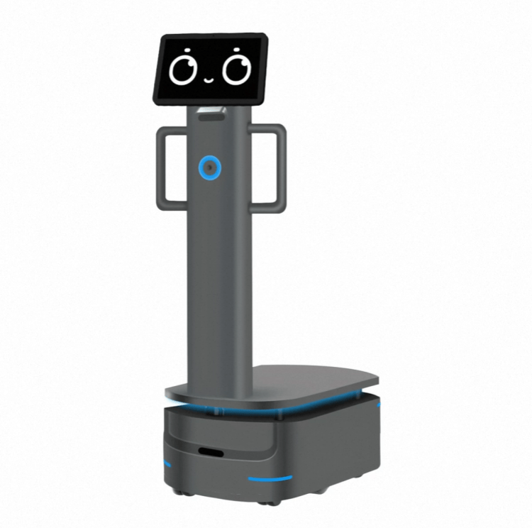 Heavy Payload Robot til industriel levering